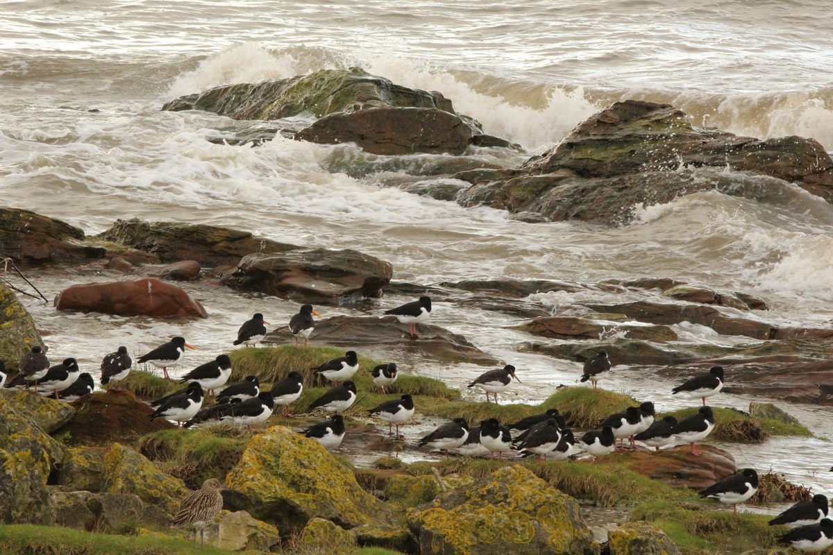Finding Shelter - Clive Bond